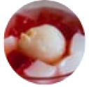 Lychee Jelly