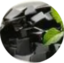 Grass Jelly